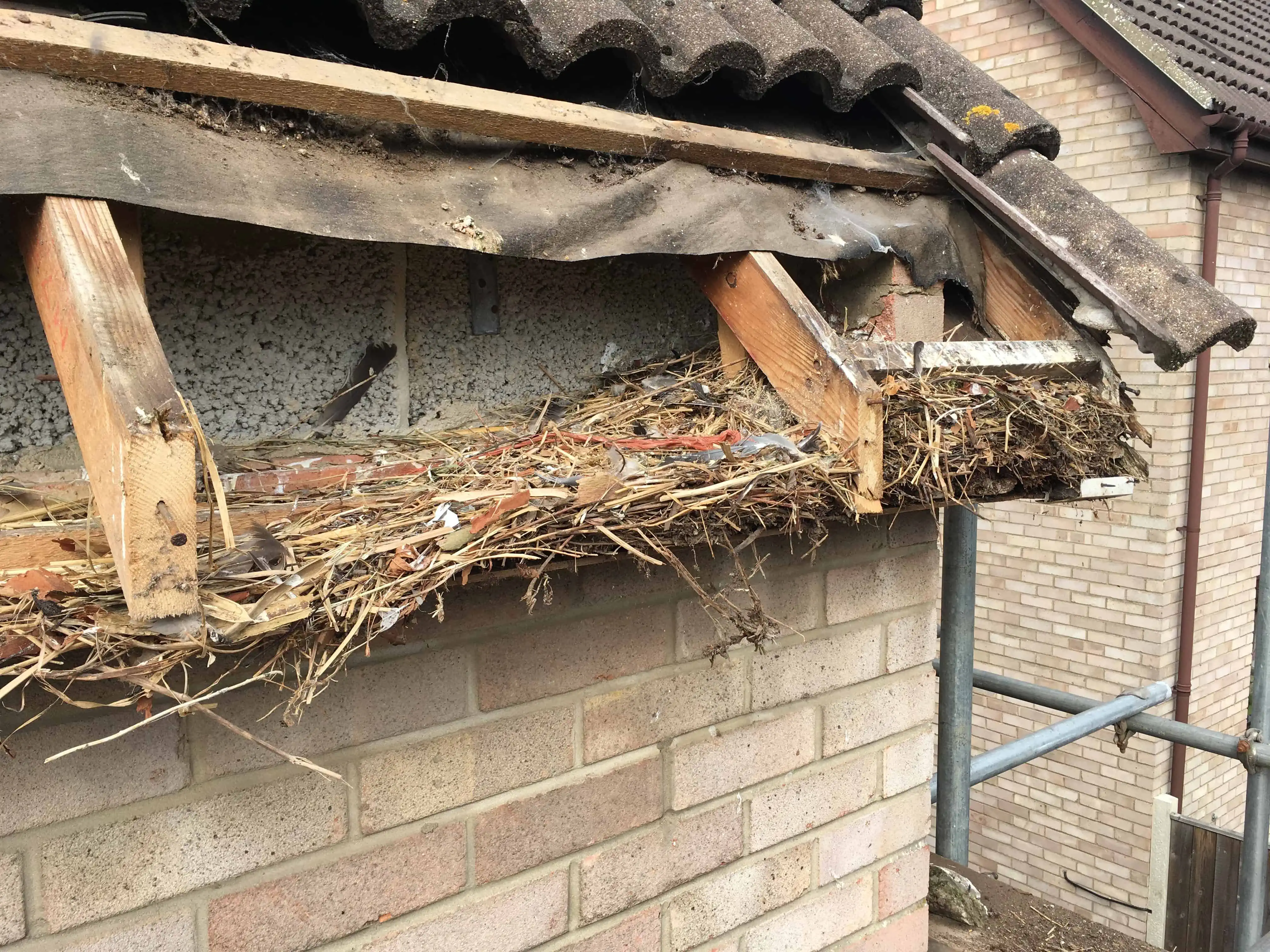 Local Roofline Repairs | PDC Plastic Fascias | Norwich | Norfolk
